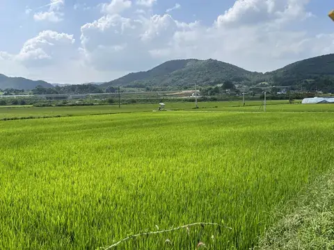 뭉게구름 아래 짙은 초록 논과 산